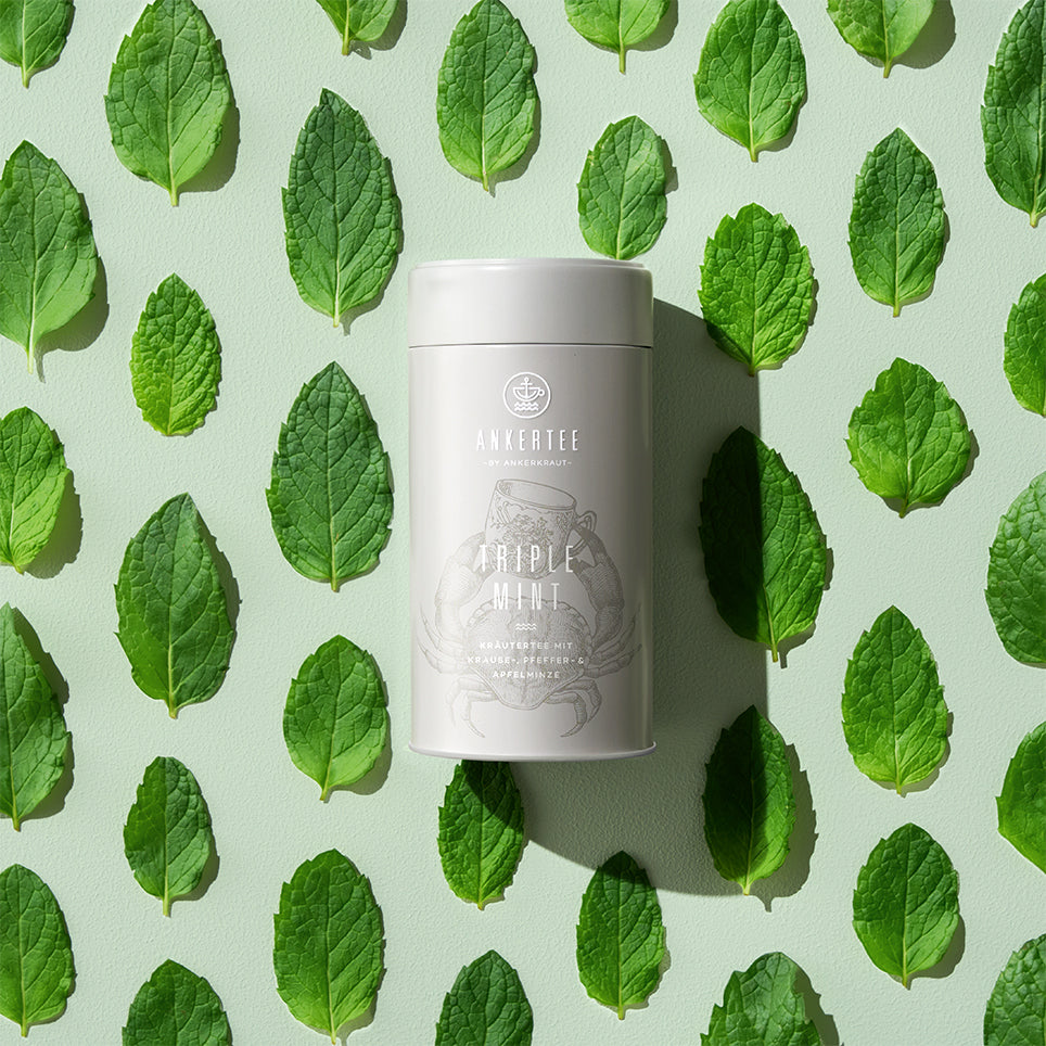Eine Ankertee-Dose mit der Aufschrift TRIPLE MINT liegt auf einer Fläche umgeben von angeordneten Minzblättern