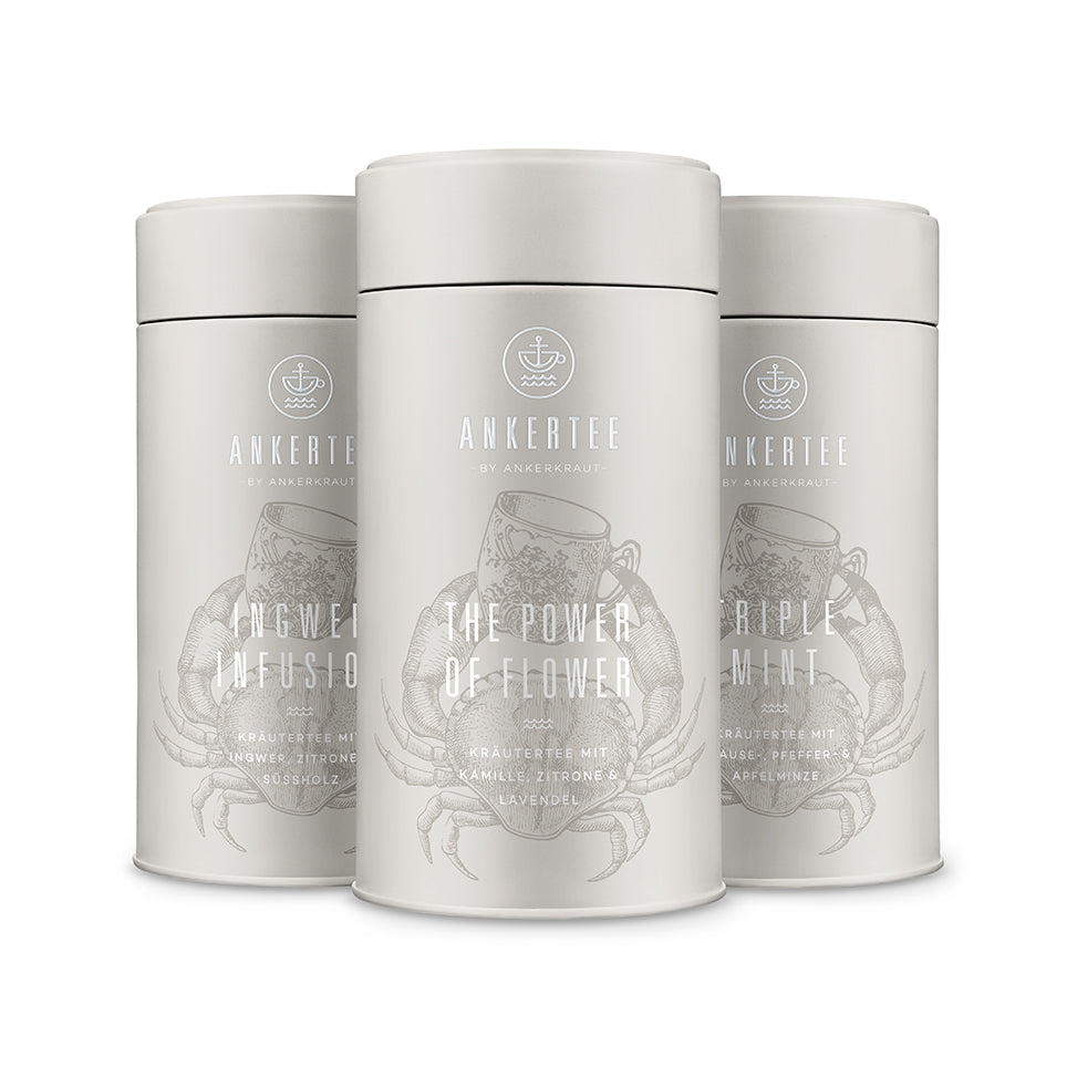 3 Ankertee-Dosen mit der Aufschrift INGWER INFUSION, THE POWER OF FLOWER, TRIPLE MINT